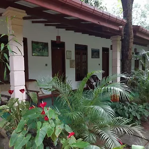 Sigiri Jungle , Sigirîya Sri Lanka